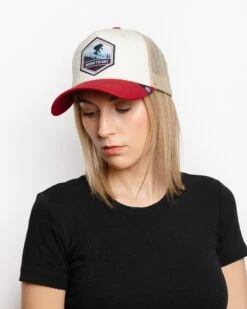 Born To Ski Brown / Grey / Red 24 Born To Ski Brown / Grey / Red -The Indian Face Tienda 03 012 18 02