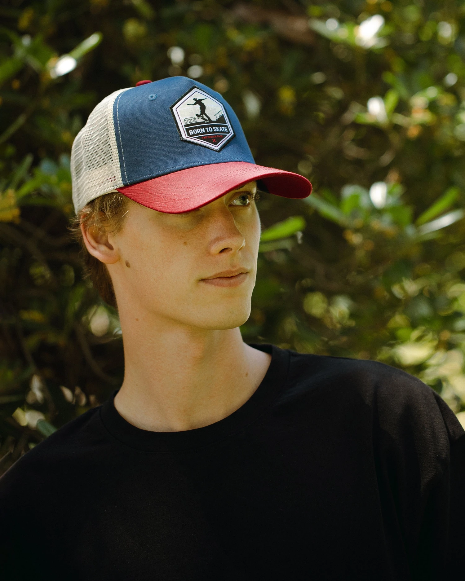 Born To Skate Blue / Grey / Red 4 Born To Skate Blue / Grey / Red - Imagen 2