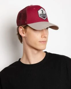 Born To Skate Red / Grey 25 Born To Skate Red / Grey -The Indian Face Tienda 03 012 23 02