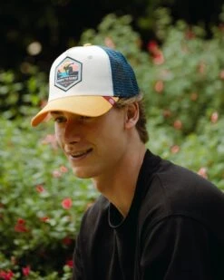 Born To Surf Brown / Blue / Yellow -The Indian Face Tienda 03 012 34 12