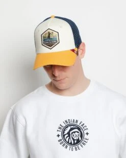 Born To Dunk Brown / Blue / Yellow 35 Born To Dunk Brown / Blue / Yellow -The Indian Face Tienda 03 012 43 10