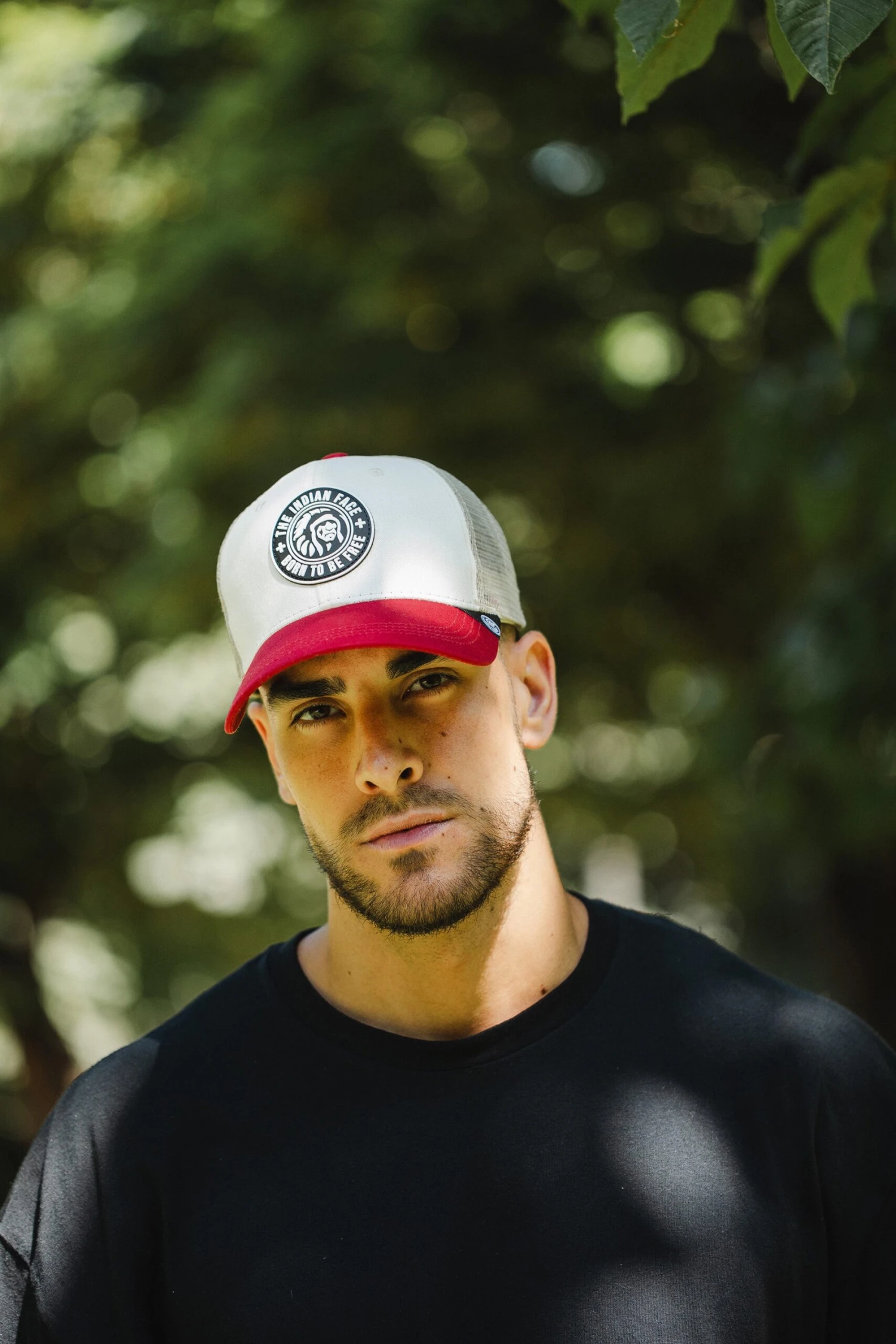 Born To Be Free Brown / Grey / Red 4 Born To Be Free Brown / Grey / Red - Imagen 2