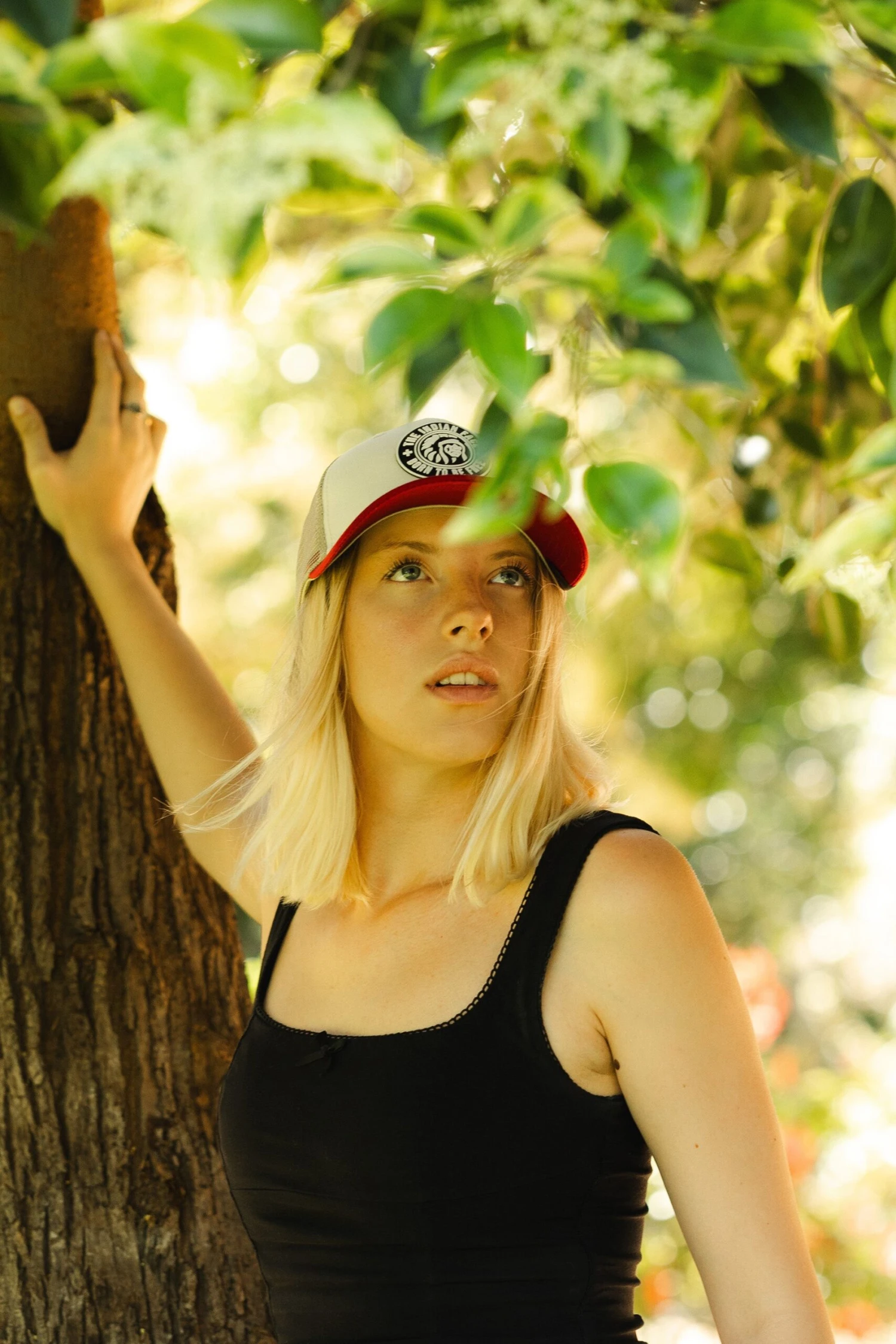 Born To Be Free Brown / Grey / Red 5 Born To Be Free Brown / Grey / Red - Imagen 3