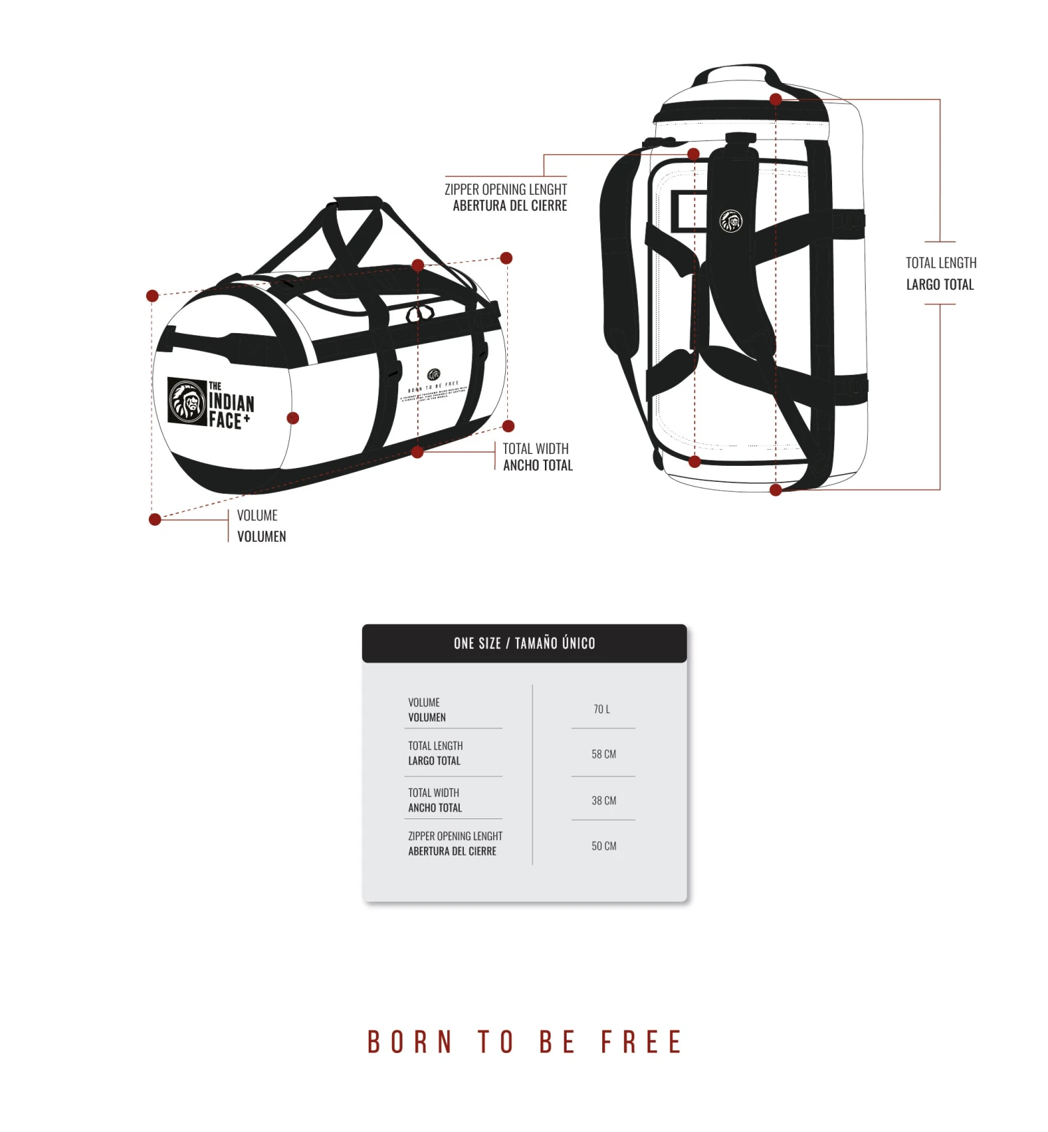 Latitude Red 12 Latitude Red - Imagen 10