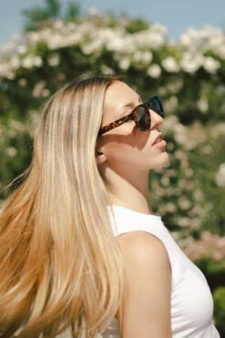 Hanukeii Mauricio Tortoise / Black Sunglasses -The Indian Face Tienda HK 014 02 8