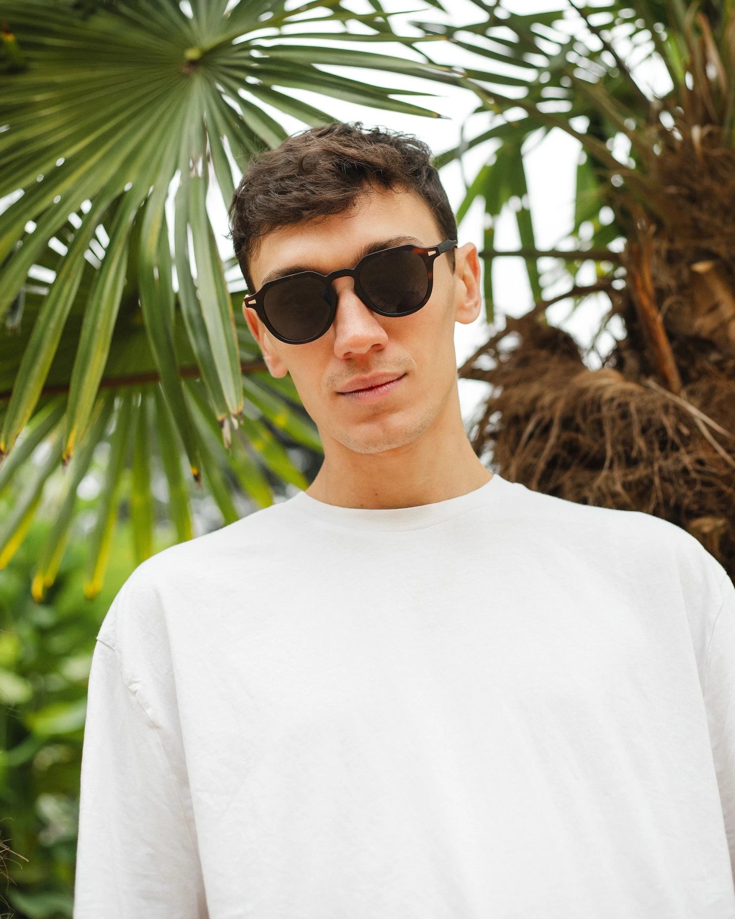 Seashell Tortoise / Black 9 Seashell Tortoise / Black - Imagen 7