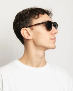 Seashell Tortoise / Black 23 Seashell Tortoise / Black -The Indian Face Tienda HK A01 24M05C02 06