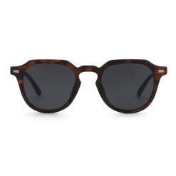 Seashell Tortoise / Black 17 Seashell Tortoise / Black -The Indian Face Tienda HK A01 24M05C02 05