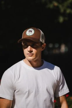 Elephant Truck Brown 16 Elephant Truck Brown -The Indian Face Tienda HK A05 24M01C09 05