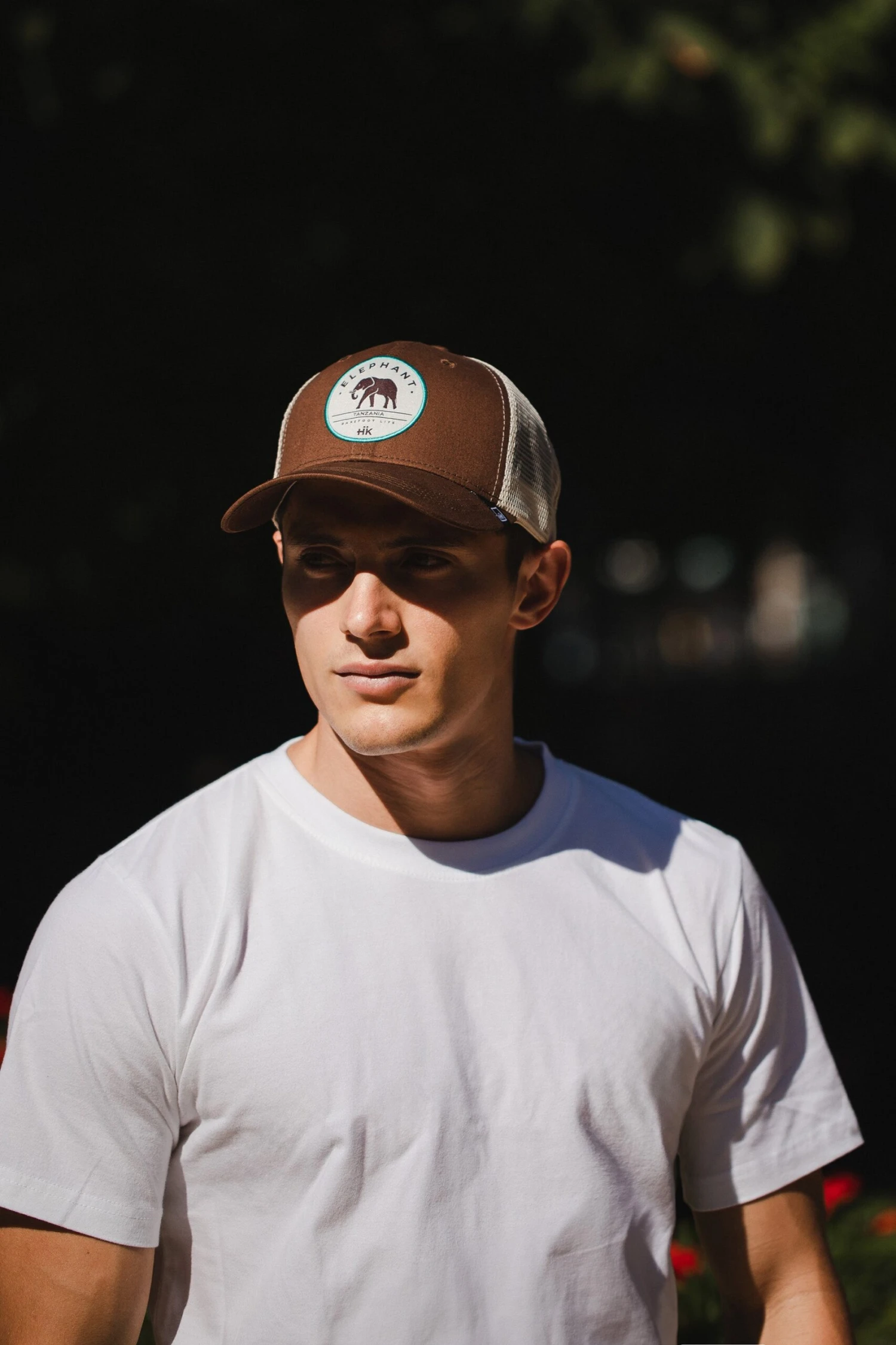 Elephant Truck Brown 8 Elephant Truck Brown - Imagen 6