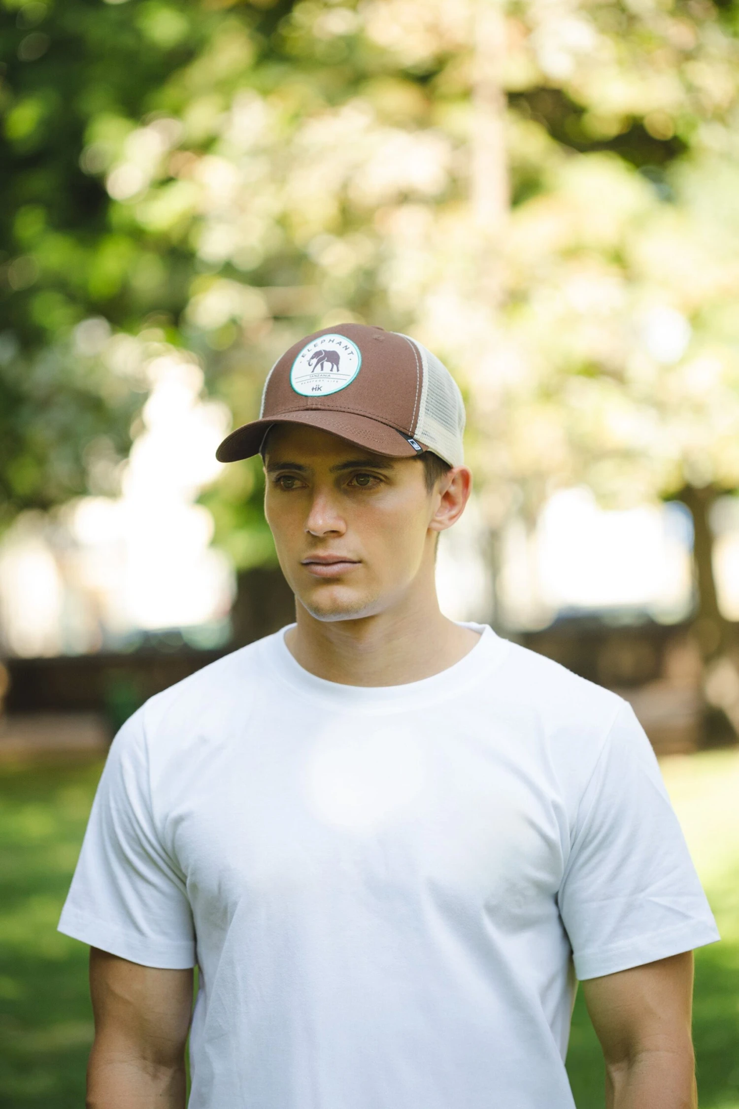 Elephant Truck Brown 9 Elephant Truck Brown - Imagen 7