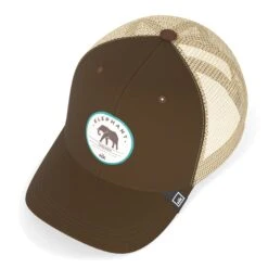 Elephant Truck Brown 13 Elephant Truck Brown -The Indian Face Tienda HK A05 24M01C09 03