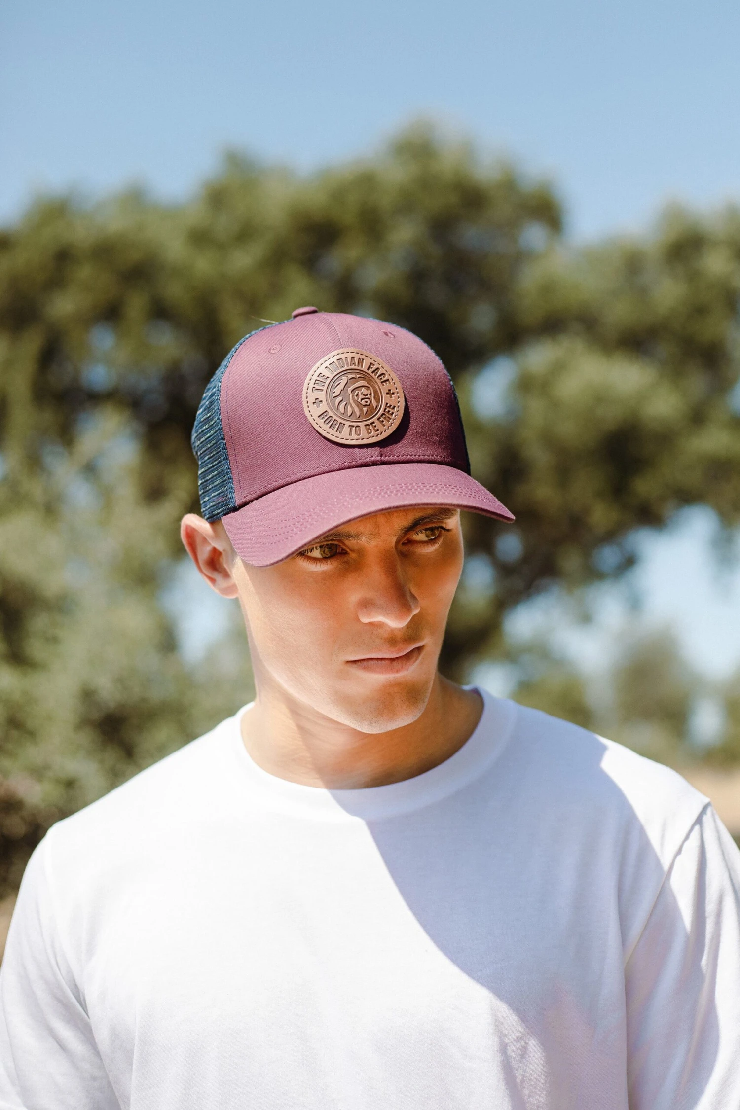 Born To Be Free Brown / Blue 7 Born To Be Free Brown / Blue - Imagen 5