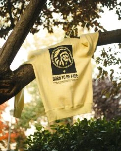 Nomad Yellow 15 Nomad Yellow -The Indian Face Tienda IF R02 23M04C03 05