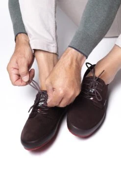 Bowl Dark Brown -The Indian Face Tienda IF Z01 24M01C02 014