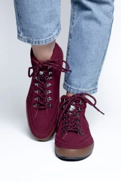 Highland Red -The Indian Face Tienda IF Z01 24M02C04 010