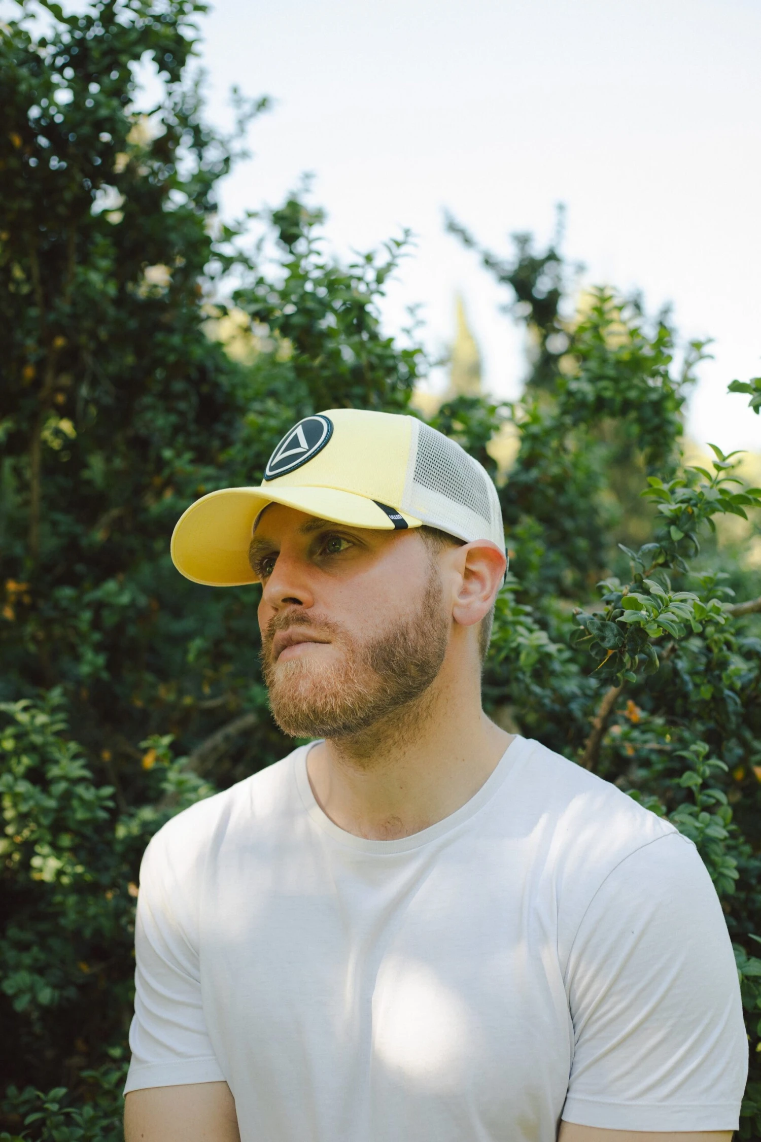 Northern Yellow / White 8 Northern Yellow / White - Imagen 6