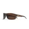 Backcountry Black Tortoise / Brown