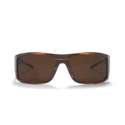 Backcountry Black Tortoise / Brown -The Indian Face Tienda UL S07 03 02