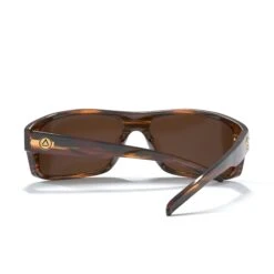 Backcountry Black Tortoise / Brown -The Indian Face Tienda UL S07 03 05