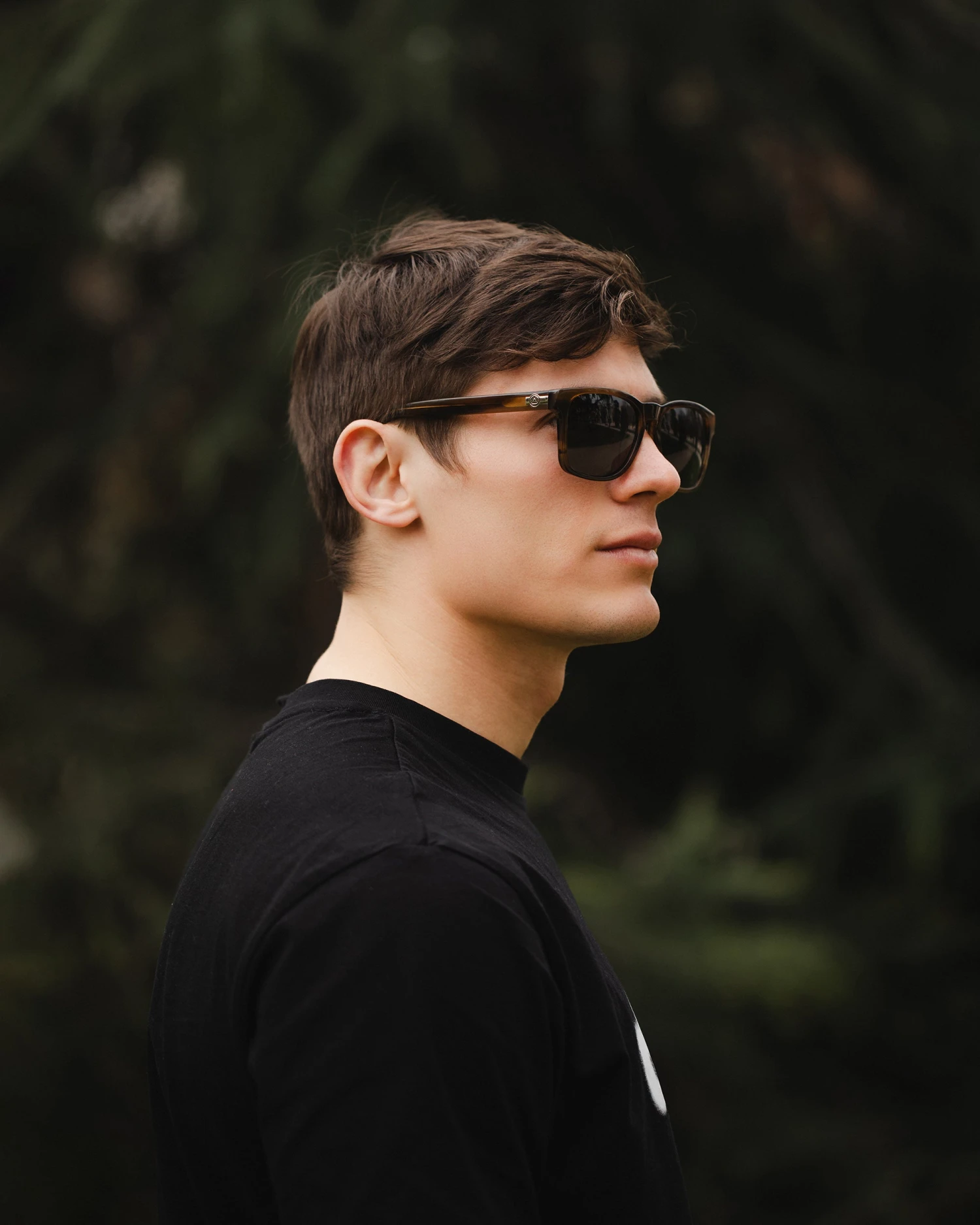 Jib Brown Tortoise / Black 6 Jib Brown Tortoise / Black - Imagen 4