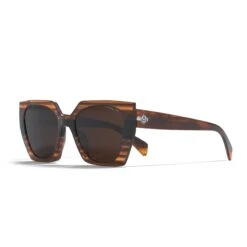 Sequoia Brown Tortoise / Brown