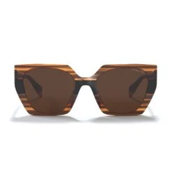 Sequoia Brown Tortoise / Brown -The Indian Face Tienda UL S24 02 02