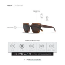 Sequoia Brown Tortoise / Brown -The Indian Face Tienda UL S24 02 06